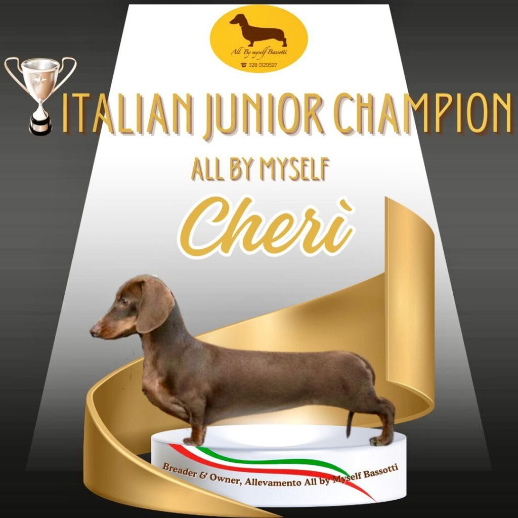 cheri campione