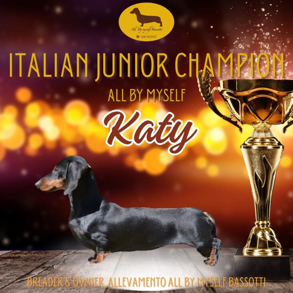 katy campionejpg