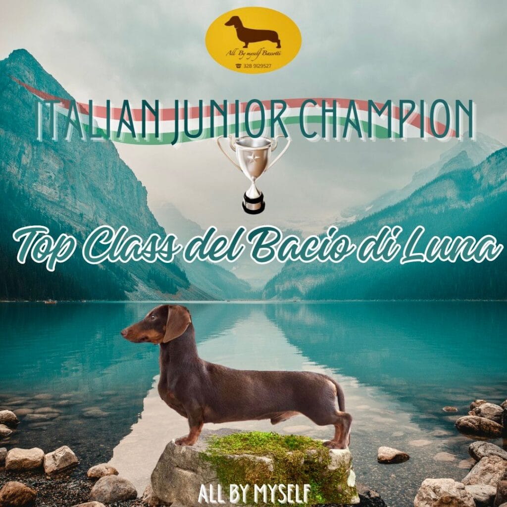 topclass delbaciodiluna