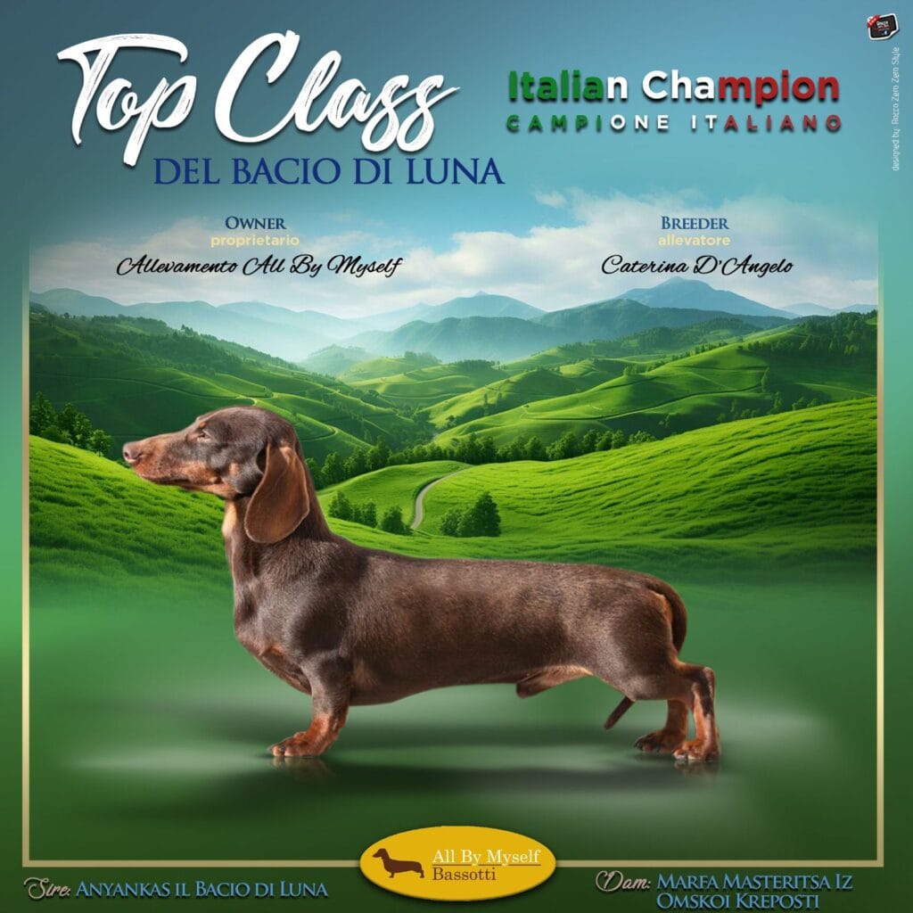 topclasscampione