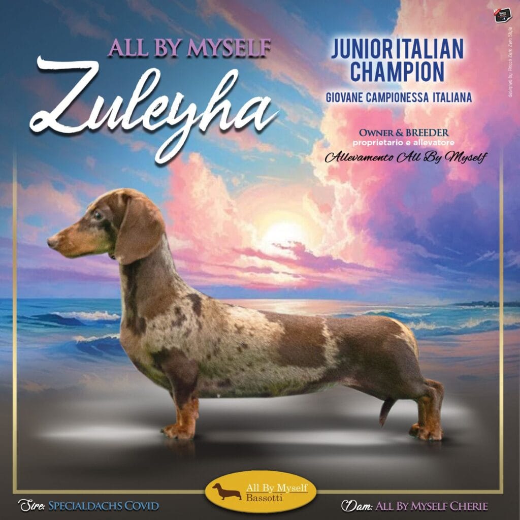 zuleyha