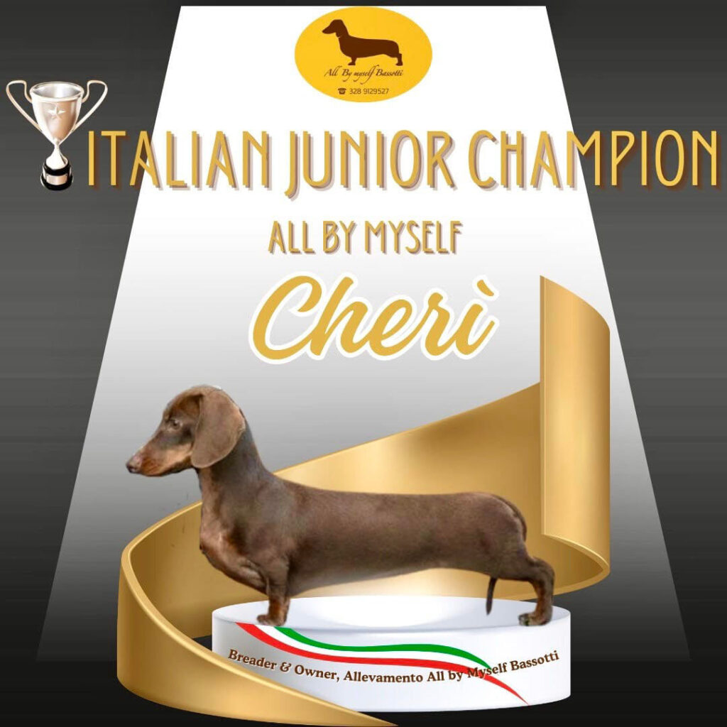 ALL BY MYSELF CHERIE 0002 Sfondo